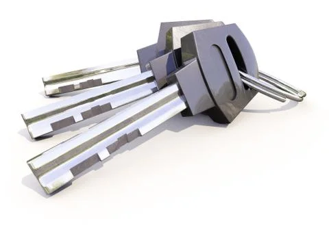 Bunch of house keys Stock Illustration