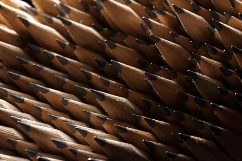Bunch of identical graphite pencils Foto stock