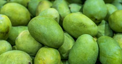 A bunch of indian langada mango 스톡 사진