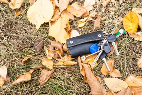 A bunch of keys in a leather case fell to the ground, into the leaves. 库存照片