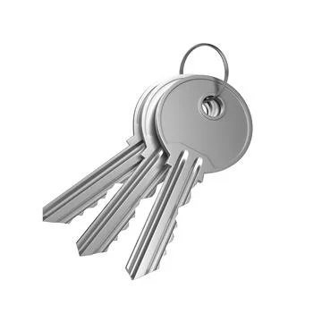 Bunch of keys with ring isolated on white background. 3d render illustration Stock Illustration