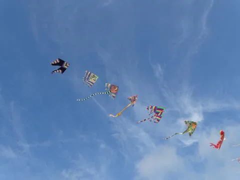 Bunch of  kite on the sky 스톡 사진