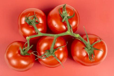 A bunch of large tomatoes on a red background Foto stock