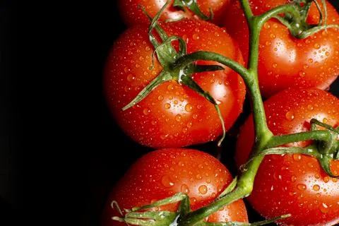 A bunch of large tomatoes with water drops on a black background Stock-Fotos