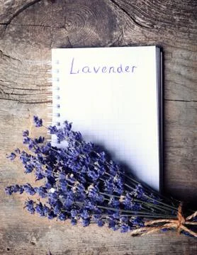Bunch of lavander Stock Photos
