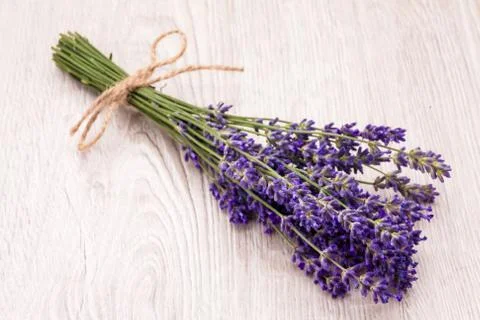 Bunch of lavander Stock-Fotos