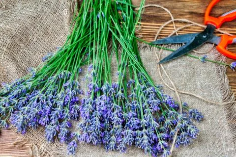 Bunch of lavender flowers on brown background Stock-Fotos