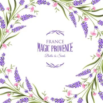 Bunch of lavender flowers Stock Illustration