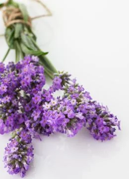 A bunch of lavender Stock Photos