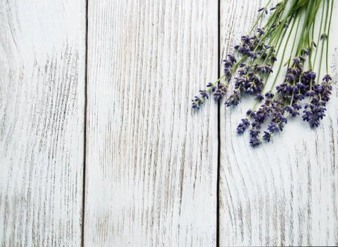 Bunch of lavender Foto stock