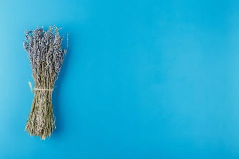 Bunch of lavender on a pink background Stock Photos