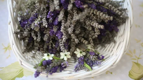 Bunch of lavender in a white basket Stock Footage 44876558