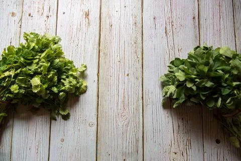 Bunch of leaves on a background Stock Photos