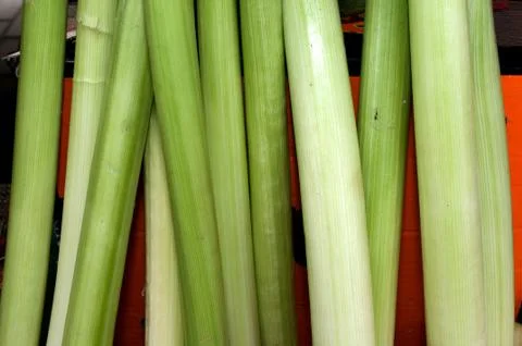 A bunch of leeks leaning on the box on the table, Novi Sad, Serbia Stock Photos