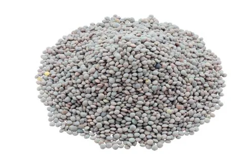 Bunch of lentils 写真素材