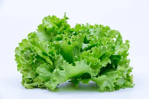 Bunch of lettuce on a white background. Stock Photos