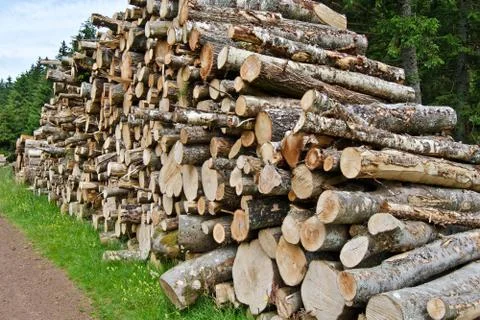 Bunch of logs Stock Photos