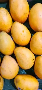 A bunch of mangoes Stock Photos