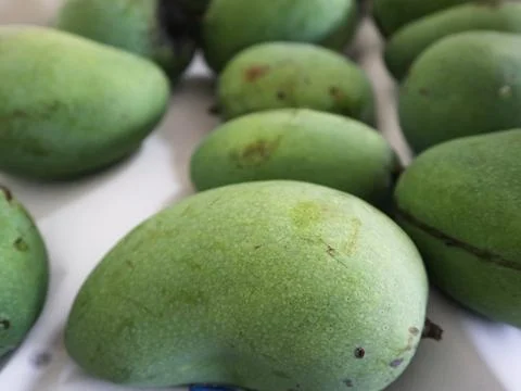 A bunch of mangoes placed on the table Stock Photos