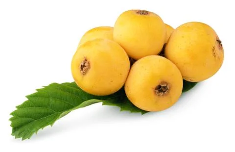 Bunch of medlars Stock Photos