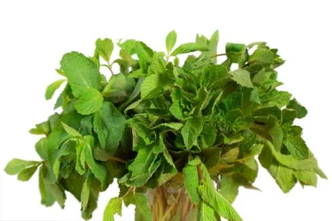 Bunch of mint isoltade on white background Stock Photos