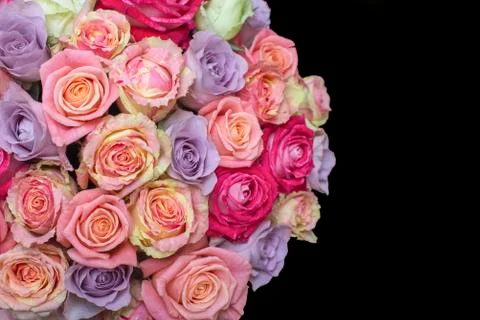 Bunch of multi-colored roses over black. Selective focus with sample text Stock Photos
