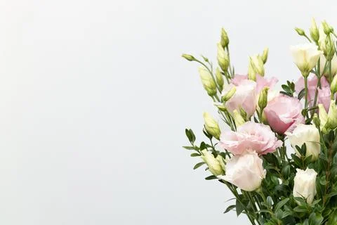 Bunch of multicolored eustoma flowers on neutral background Stock Photos