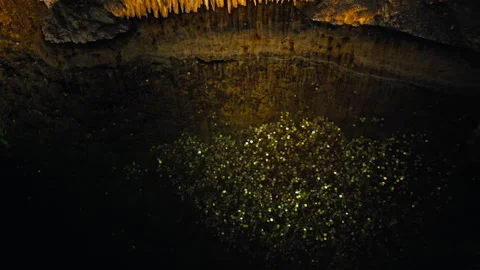 Bunch of multiple old coins on the bottom of a crystal clear water lake in cave. Stock Footage 249342115