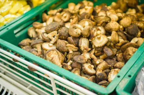 Bunch of mushrooms in plastic boxes in store Stock Photos