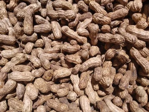 Bunch of nuts,the basic ingredients of raw nuts. Stock Photos