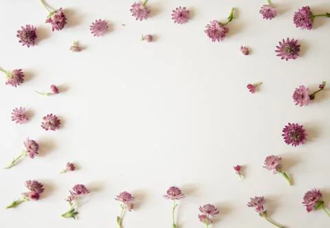 Bunch o flowers Stock Photos
