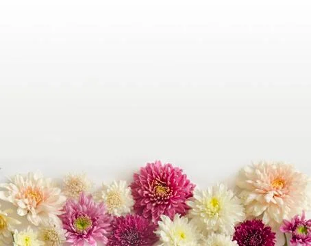 Bunch o flowers Stock Photos