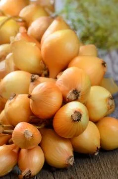 Bunch of onion Stock-Fotos