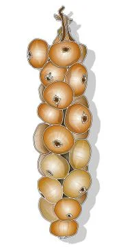Bunch of onions isolated Stock Illustration