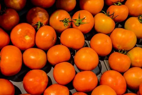 A bunch of oranges are piled up on a table Fotos Stock