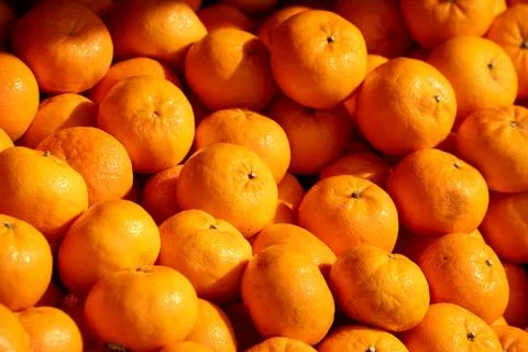A bunch of oranges are piled up on top of each other Stock Photos