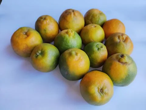 A bunch of oranges isolated on white background Stock Photos