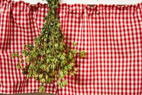 Bunch of oregano Stock Photos