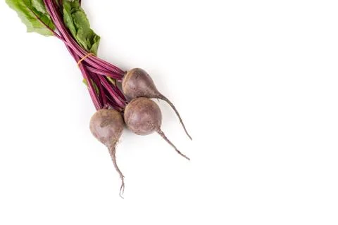 Bunch of organic beetroot isolated with copyspace Stock Photos