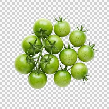 Bunch of organic green cherry tomatoes on vine isolated on transparent back.. Foto stock