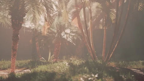 A bunch of palm trees that are in the grass Vídeos de archivo 274898406