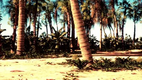A bunch of palm trees on a beach Stock Illustration