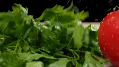 A bunch of parsley falls Stock Footage 113085450