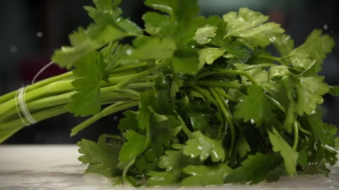 A bunch of parsley falls on the table slow motion Stock Footage 204717329