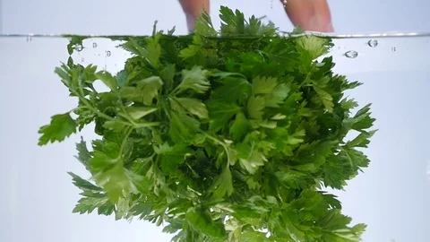 Bunch of parsley isolated falling in water Stock Footage 75648059