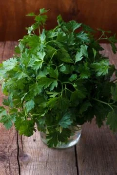 Bunch of parsley Stock Photos
