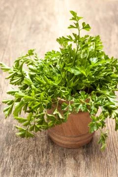 Bunch of parsley Stock-Fotos