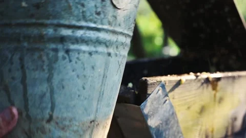 A bunch of pears and apples in the fruit grinder machine Stock-Footage 136307291