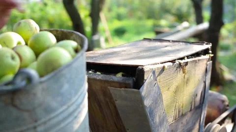 A bunch of pears and apples in the fruit grinder machine Stock-Footage 136307808