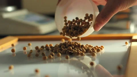 Sorting chickpeas